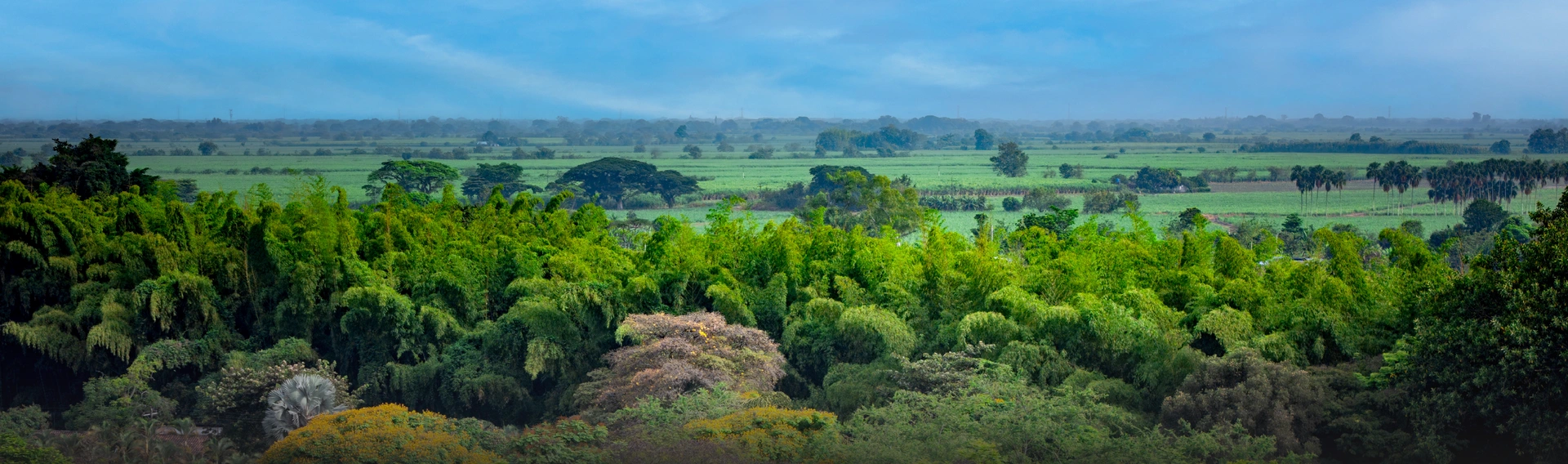 Medio Ambiente y Territorio